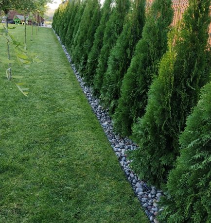 IMG_20181013_170338-scaled