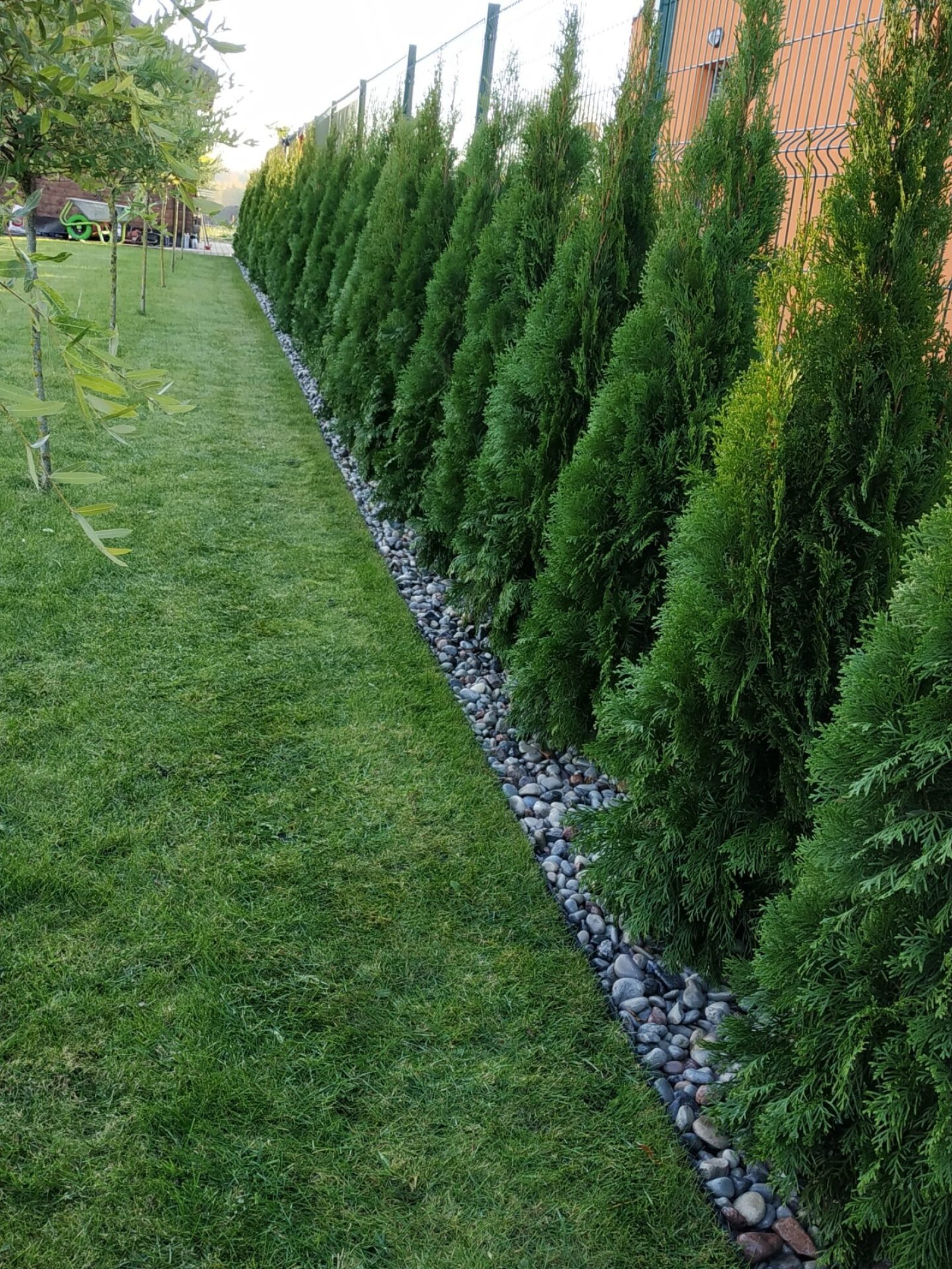 IMG_20181013_170338-scaled (2)