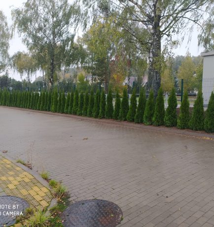 IMG_20201014_145153-scaled